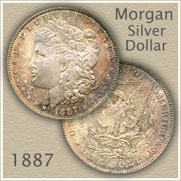 1887 morgan silver dollar value discover their worth silver dollar value chart