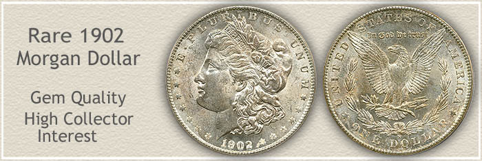 Is a 1902 silver dollar rare?