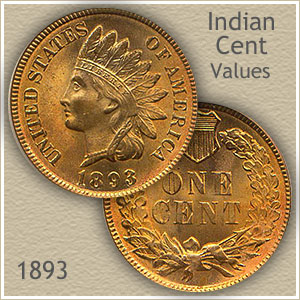 Uncirculated 1893 Indian Head Penny