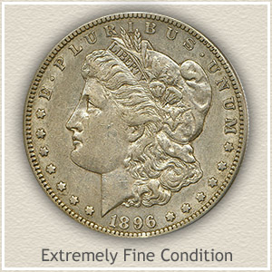 Dollar Dollar