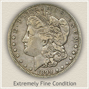 1899 Morgan Silver Dollar Extremely Fine Condition