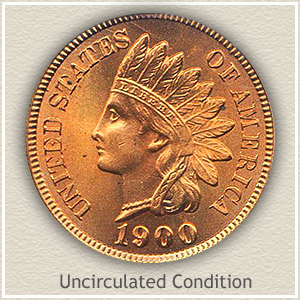 The Uncirculated Collection of Indian Head Pennies and Buffalo Nickels