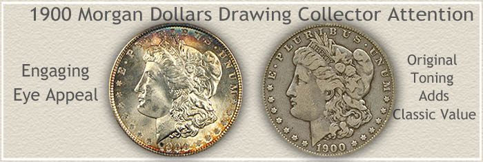 Rare Toned 1900 Morgan Silver Dollars