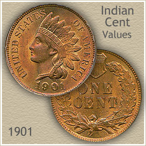 USA - indian head - 1 cent 1901