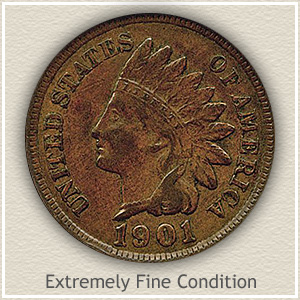1901 Indian Head Penny Extremely Fine Condition