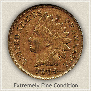 1909 Indian Head Penny Extremely Fine Condition