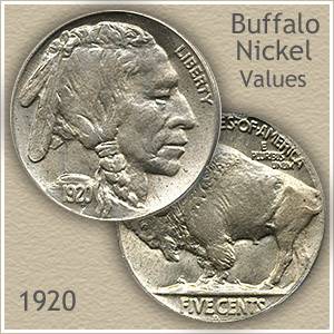 1920 and 1921 U.S. Indian Head Buffalo Nickels - Nice Detail - 2 Coins