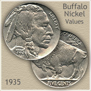 D S Buffalo G/Better 1935 P 