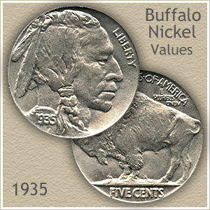 Afvise Skygge Instruere 1935 Nickel Value | Discover Your Buffalo Nickel Worth