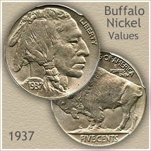 Standing liberty quarter grading Standing liberty quarter grading