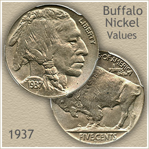 10 Buffalo Nickels 1924-1937 Good at 's Collectible Coins Store