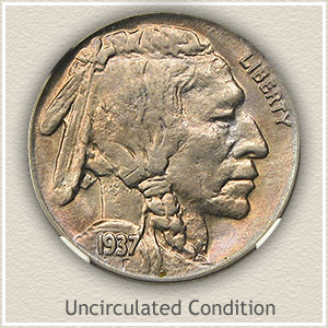 1937 Buffalo Nickel Value Chart