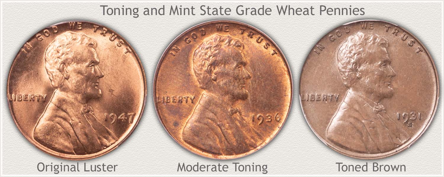 Shades of Toning on Three Wheat Pennies