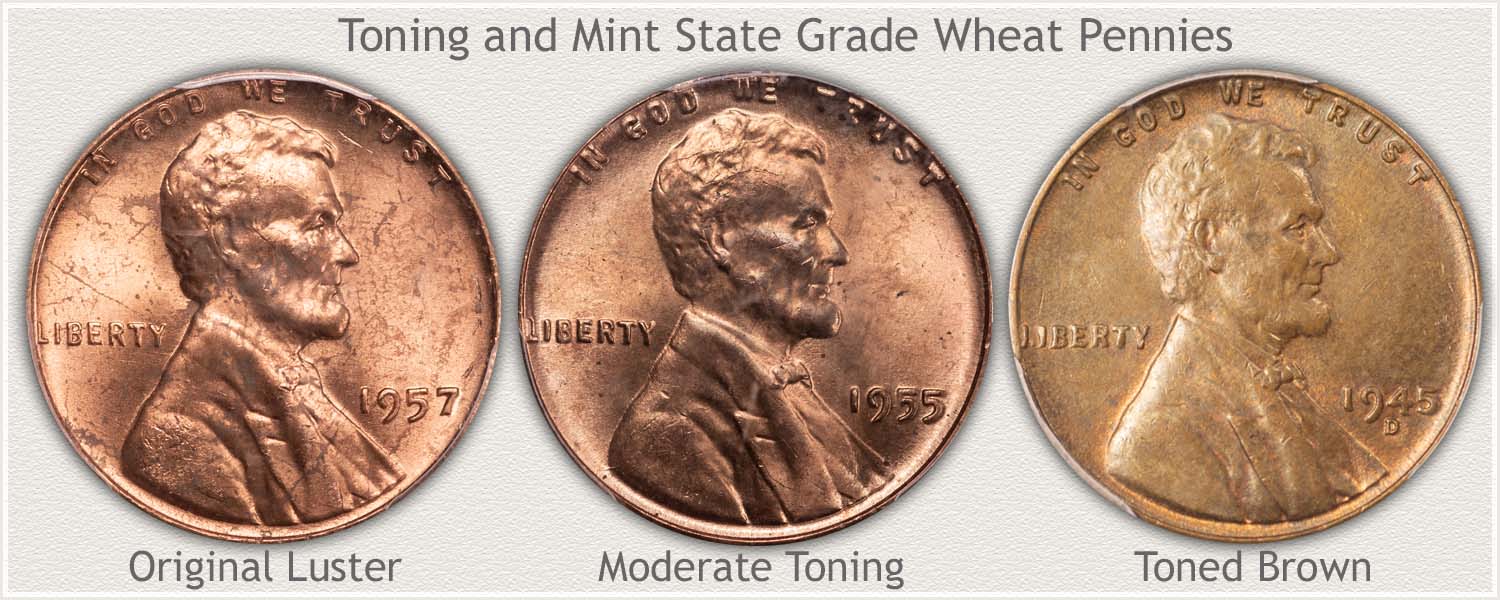 Shades of Toning on Three Wheat Cents