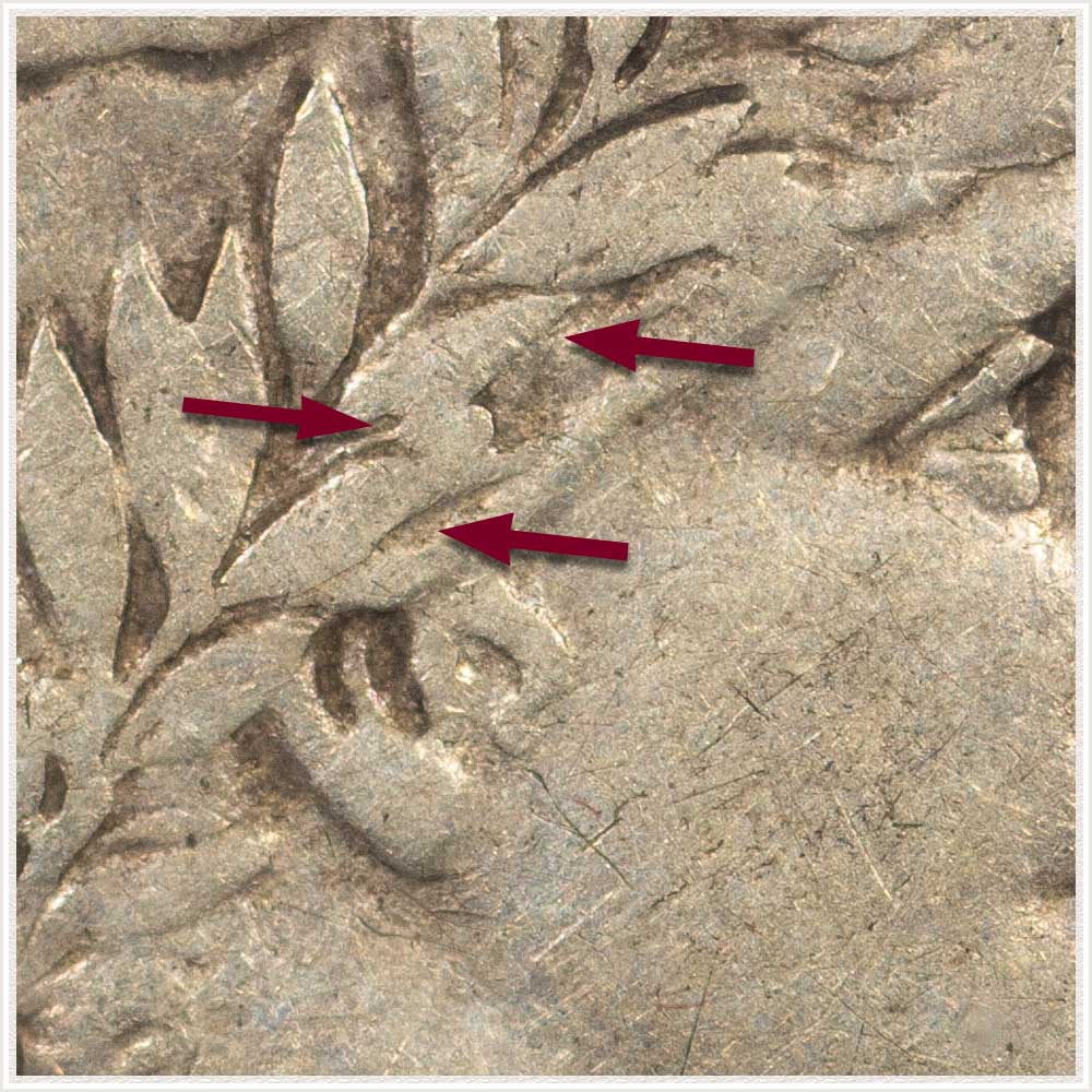 Focal Point Leaves and Berry