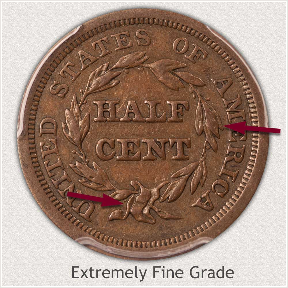 Reverse View: Extremely Fine Grade Braided Hair Half Cent