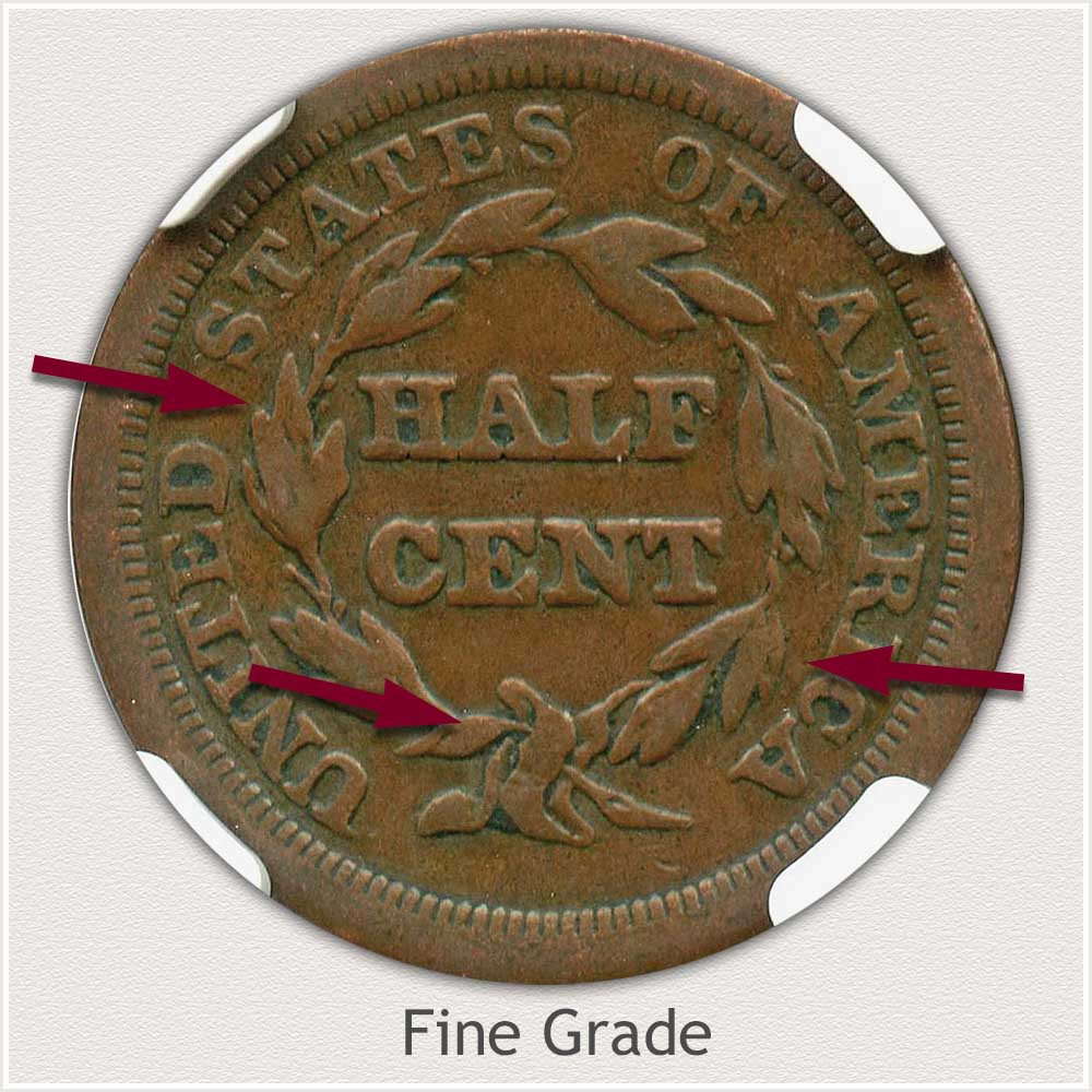 Reverse View: Fine Grade Braided Hair Half Cent