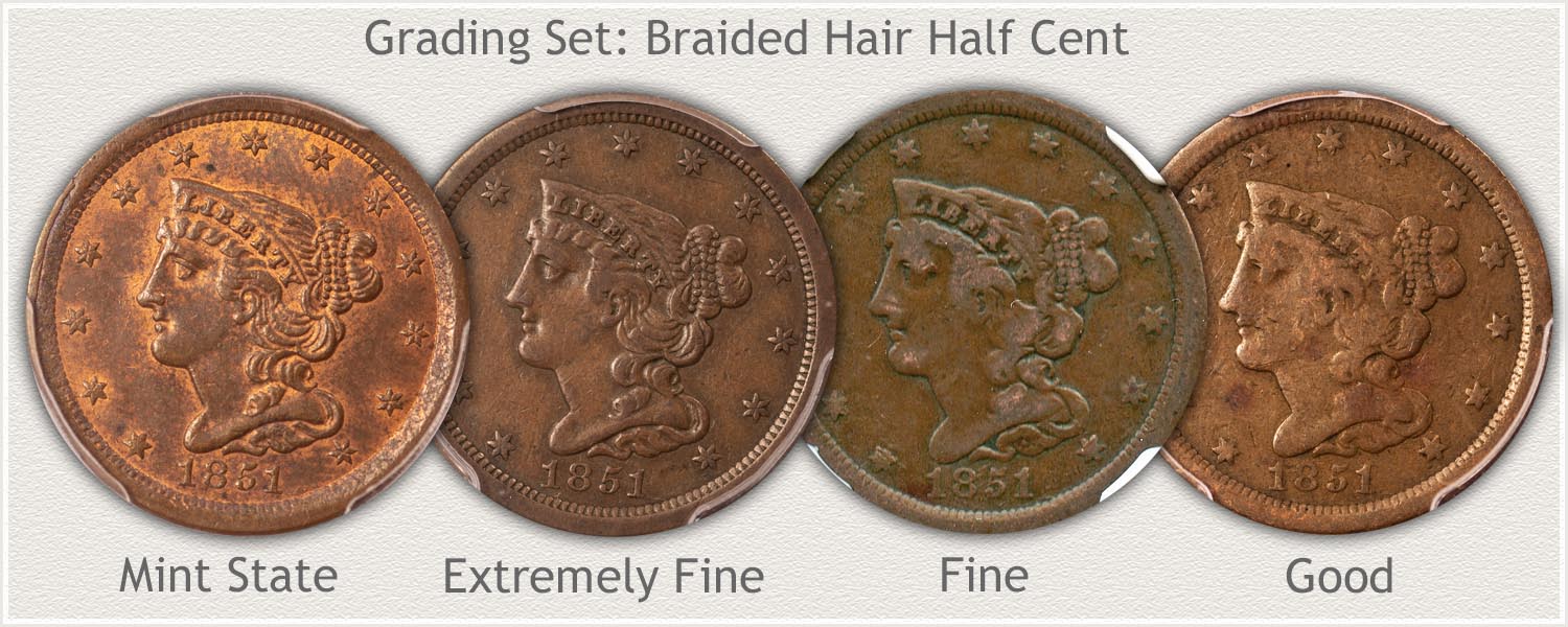 Grading Set of Braided Hair Half Cents