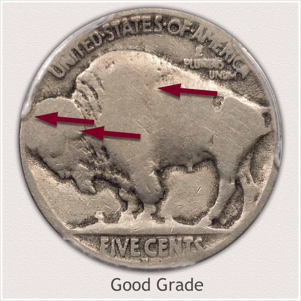 Reverse View: Good Grade Buffalo Nickel