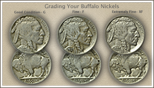 Visit...  Video | Grading Buffalo Nickels
