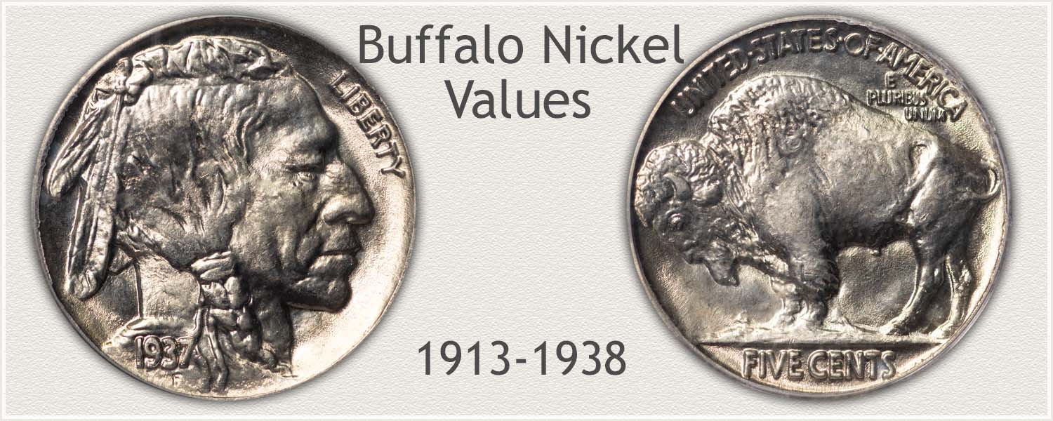 No Date Buffalo Nickels: How to Find Their Value