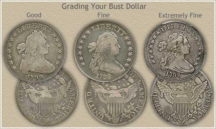 bust-dollar-grading-2.jpg