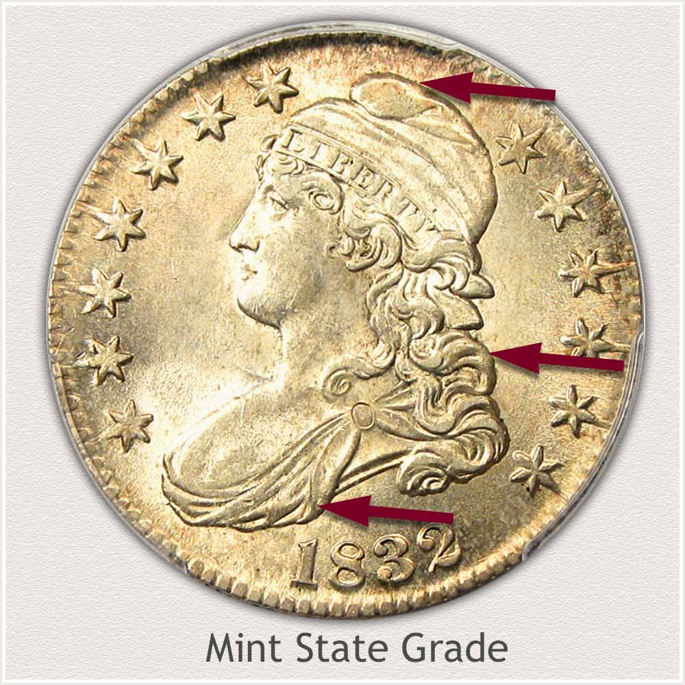 Bust Half Dollar Value | Discover Their Worth