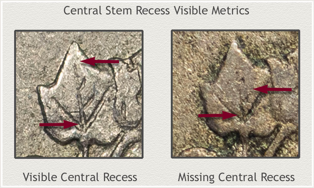 Comparing the Visible and Missing Detail on the Central Recess of Cotton Leaves