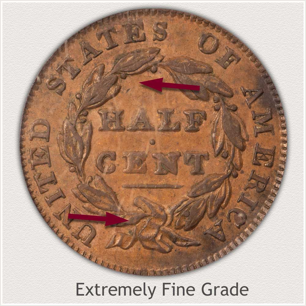 Reverse View: Extremely Fine Grade Classic Head Half Cent