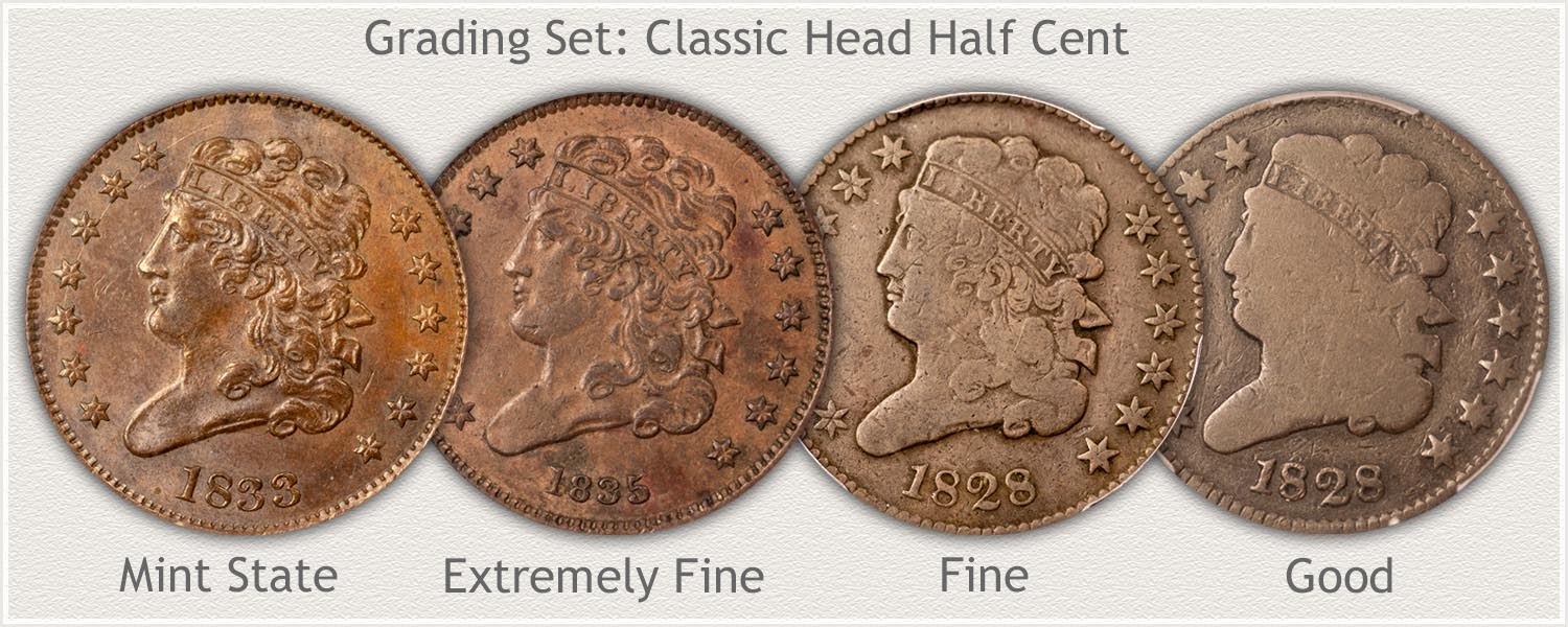 Grading Set of Classic Head Half Cents
