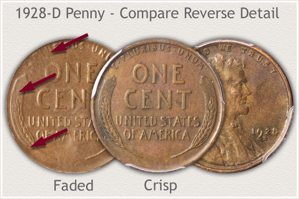Comparing Reverse Detail of Two 1928-D Pennies