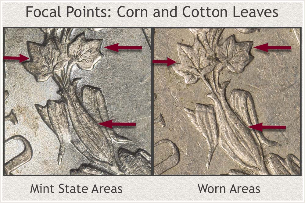 Grading Focal Areas of Corn and Cotton Leaves