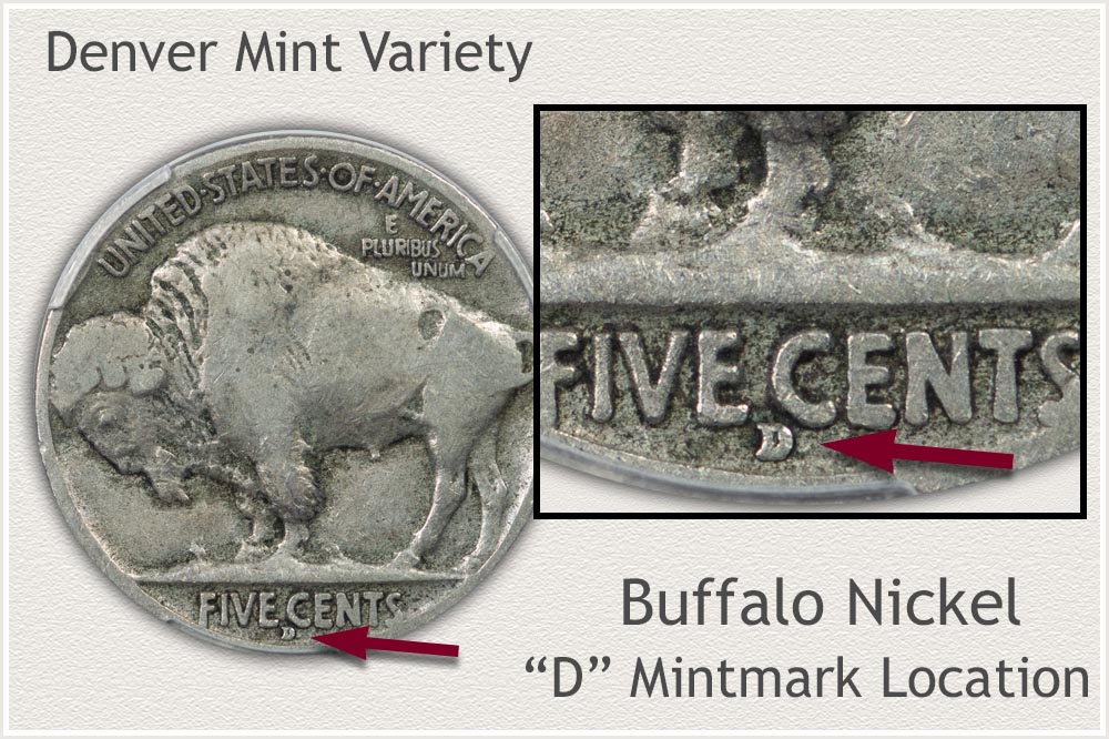 View of the D Mintmark Location on the Reverse of a Buffalo Nickel