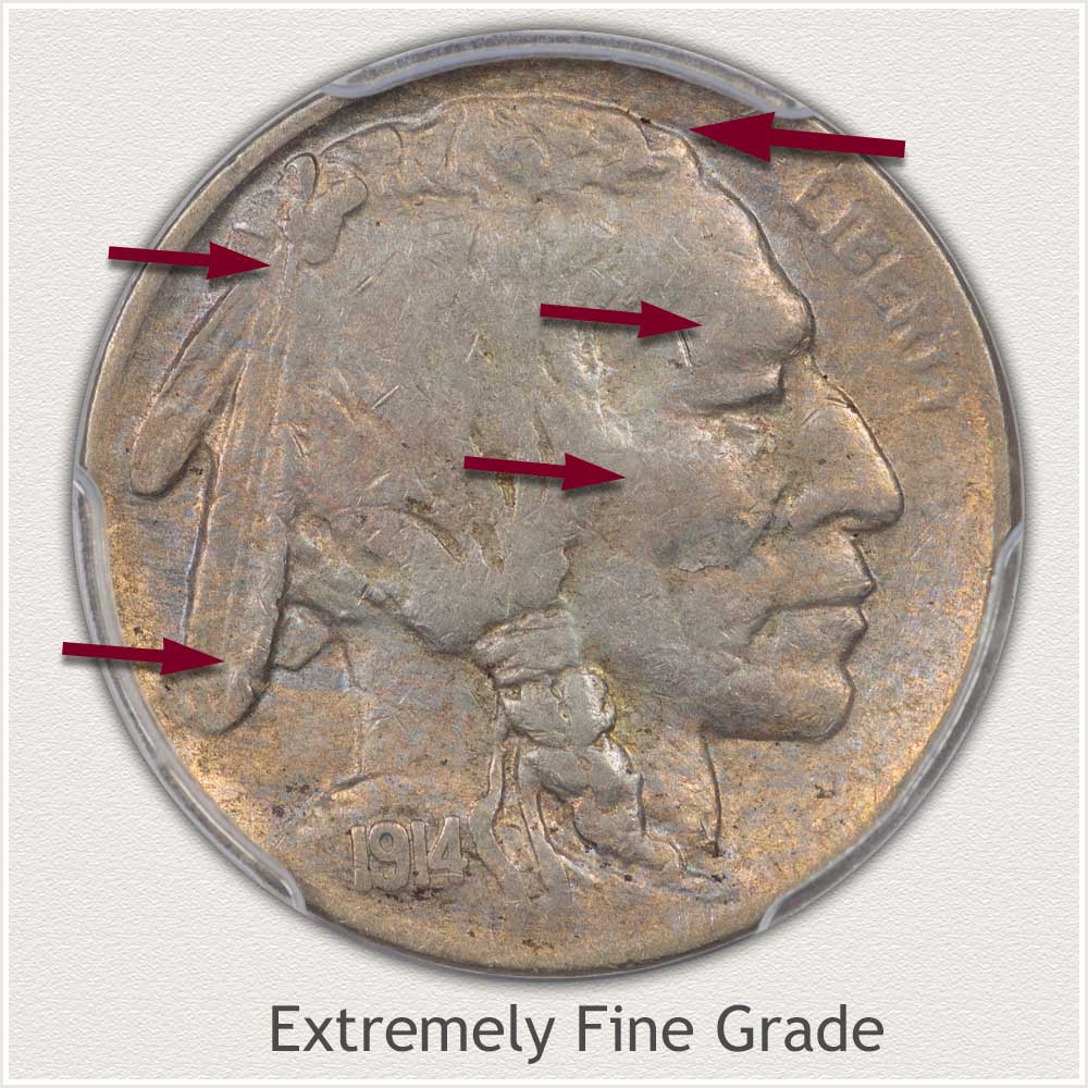 Extremely Fine Grade Buffalo Nickel