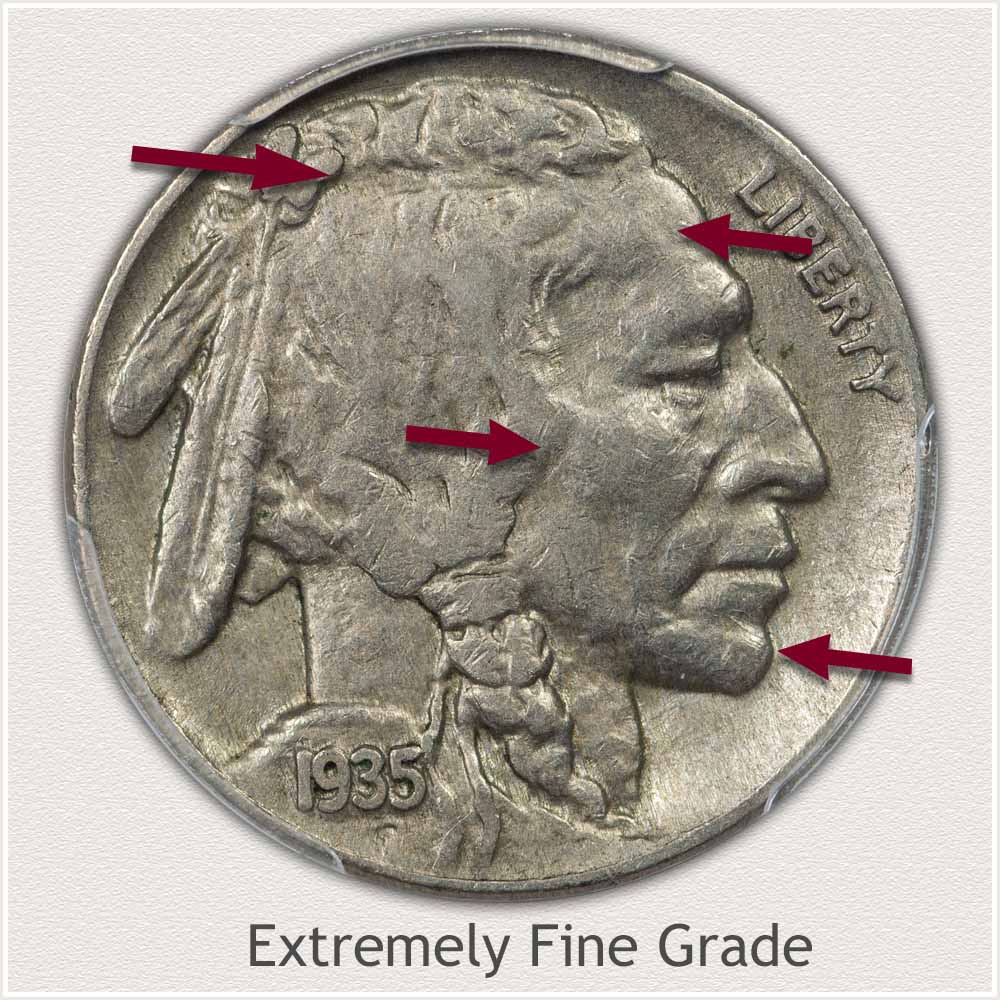 Example Extremely Fine Grade Buffalo Nickel