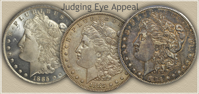 Judging Eye Appeal Morgan Silver Dollar