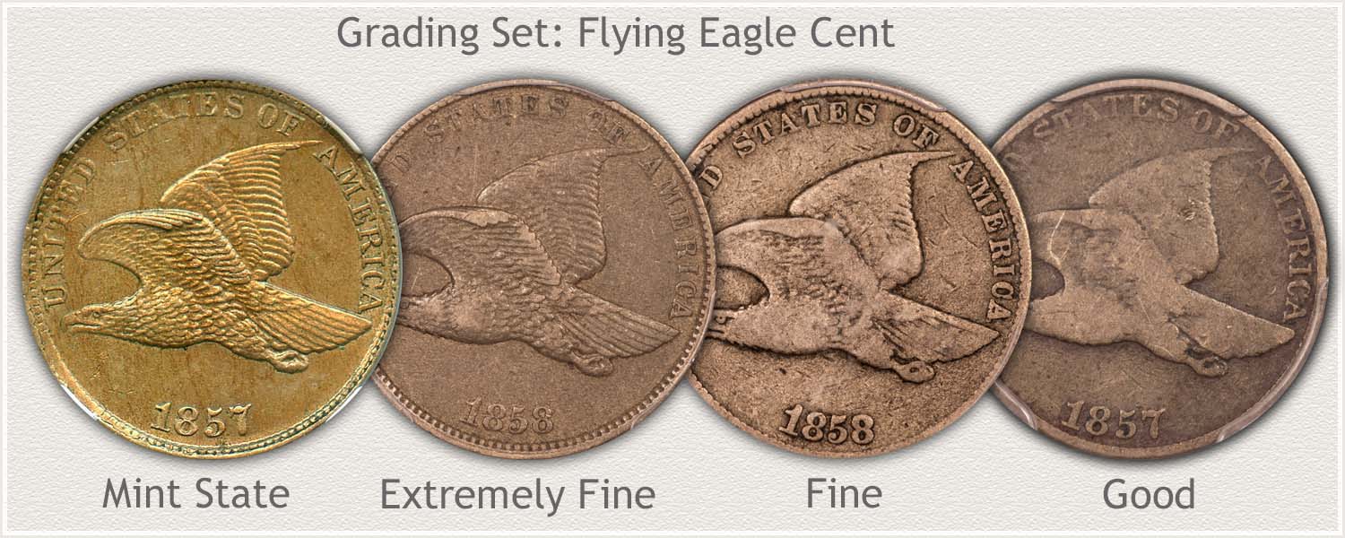 Grade Set Flying Eagle Cents