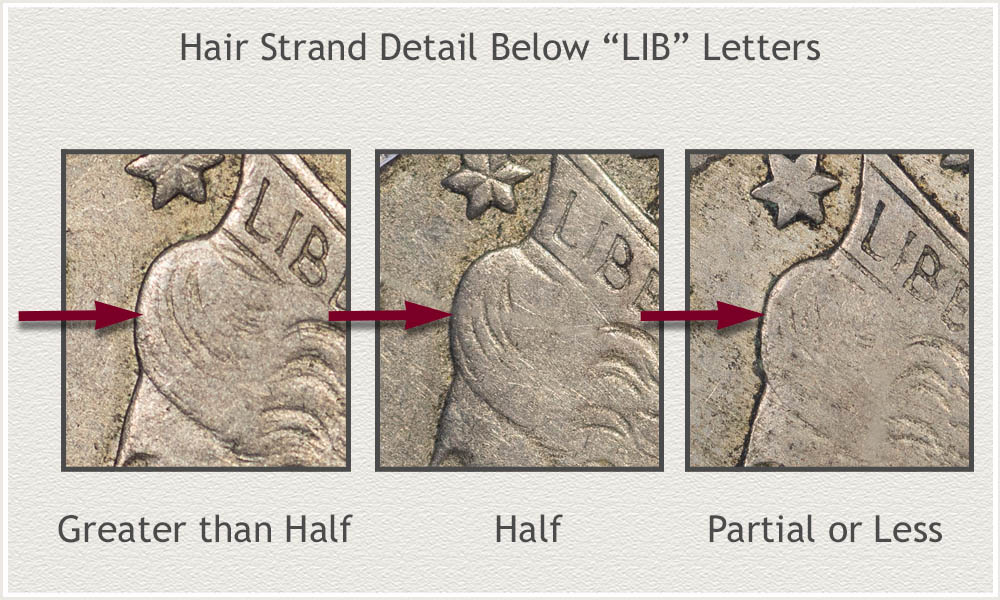 Examples of Wear Levels on the Hair Below LIB Letters