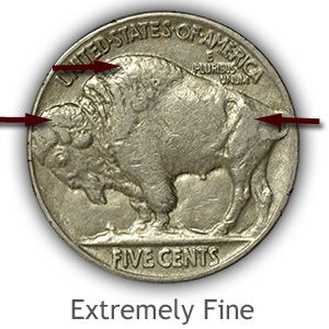 Grading Reverse Extremely Fine Buffalo Nickels