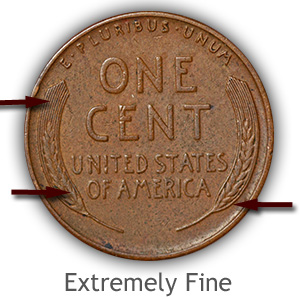 Grading Reverse Extremely Fine Lincoln Wheat Penny