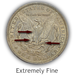 Grading Reverse Extremely Fine Morgan Silver Dollars