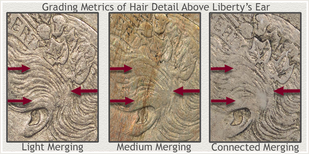 Close-Up Illustrations of Wear Levels on the Hair Above the Ear