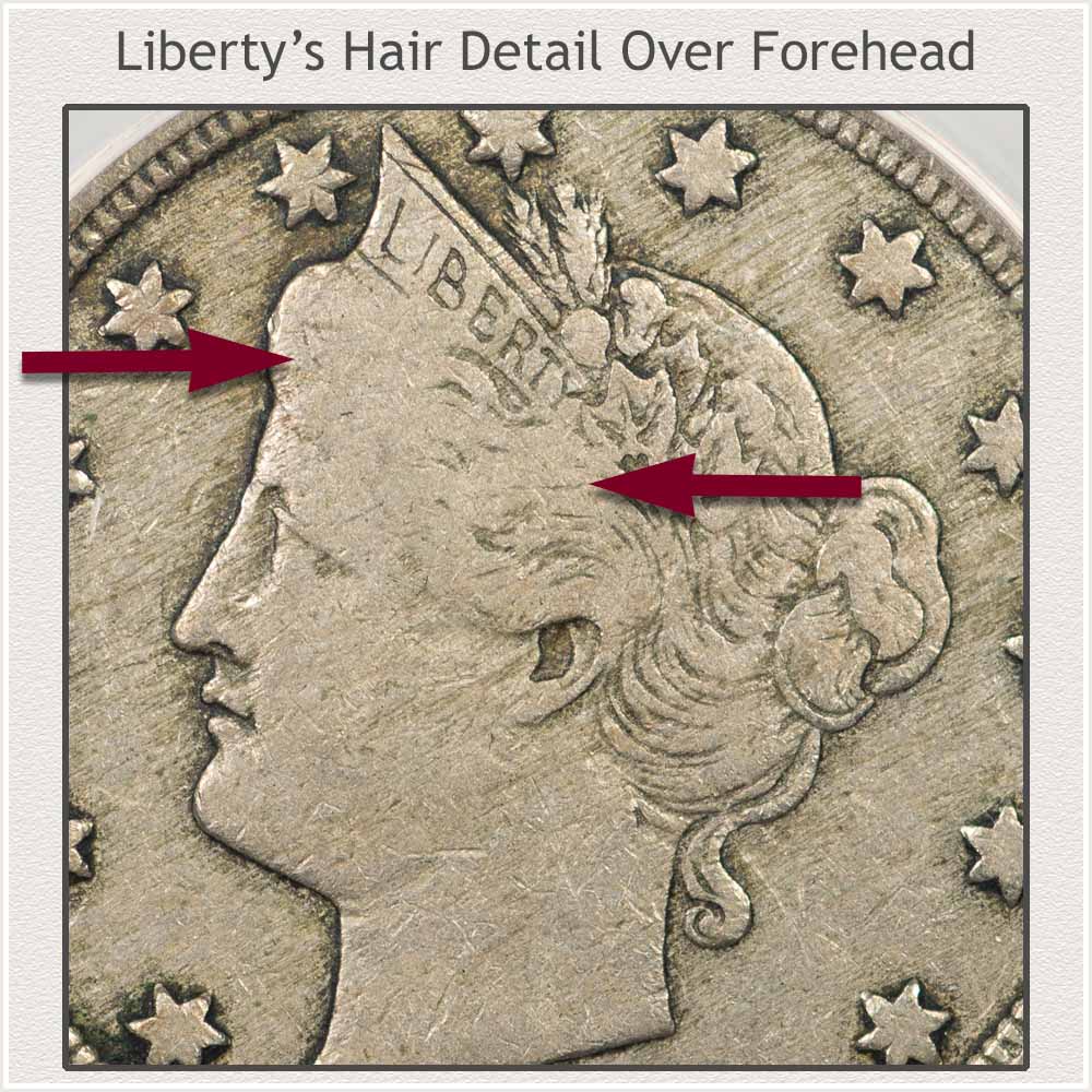 Liberty's Portrait Hair Detail