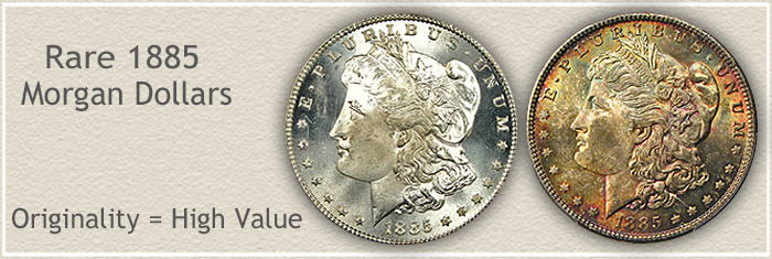 morgan silver dollar values prices sell buy online com morgan dollar values chart