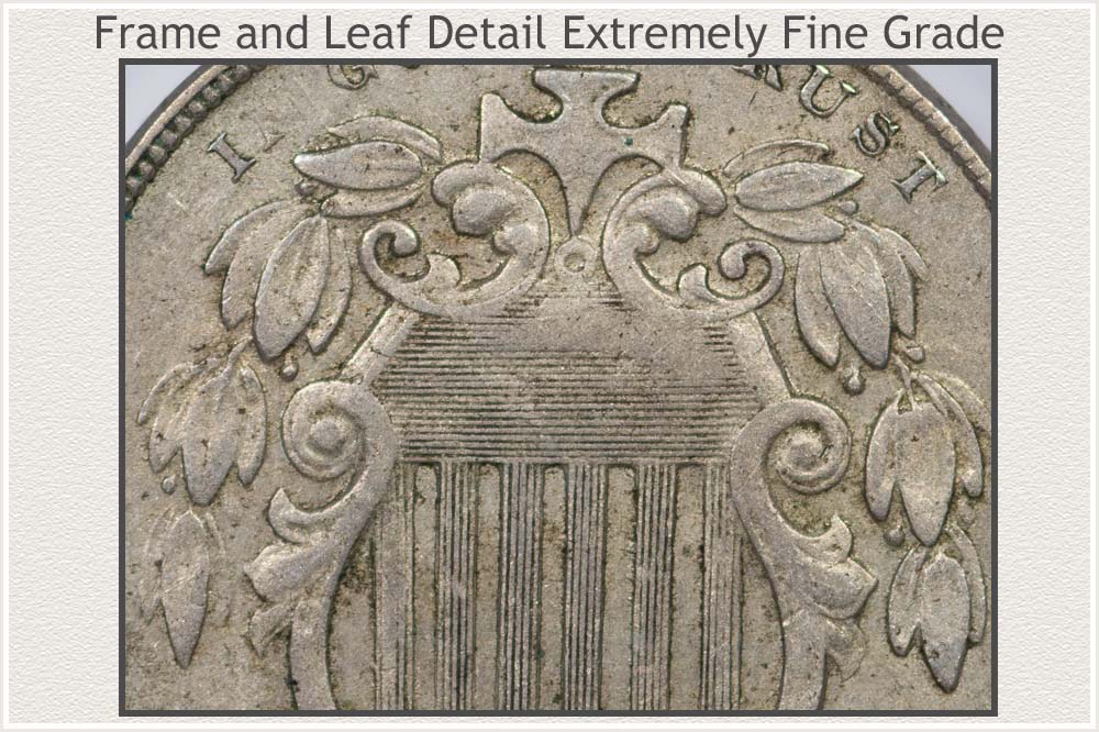 Close-Up of The Leaf and Frame Detail