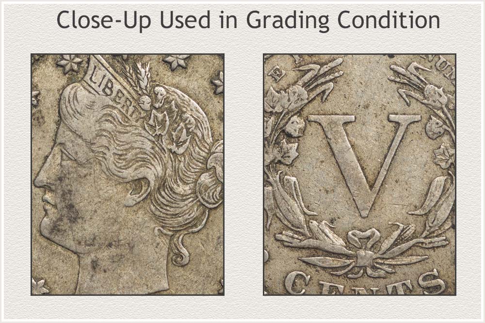 Close View of Liberty Nickel for Grading