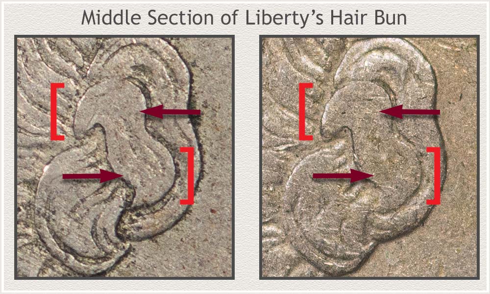 Middle Section Hair Bun Detail Comparing Half or More to Less than Half Detail Metric