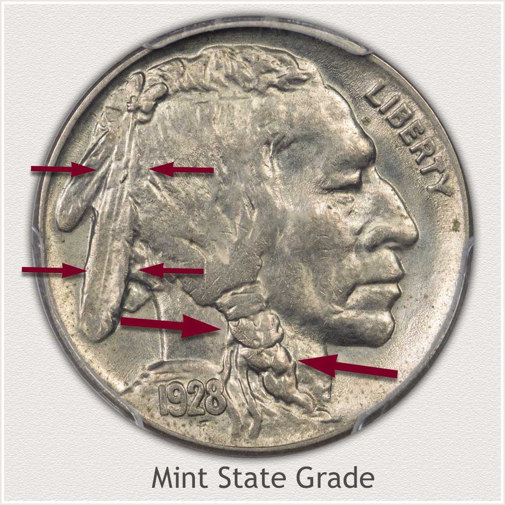 Obverse View of a Mint State Grade Buffalo Nickel