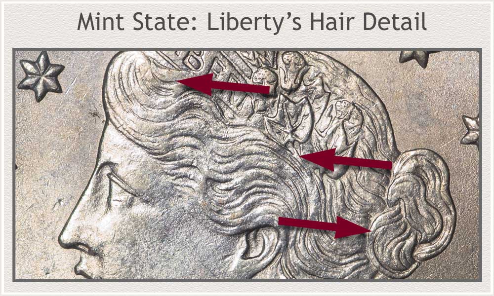 Liberty's Hair Detail in Mint State Grade