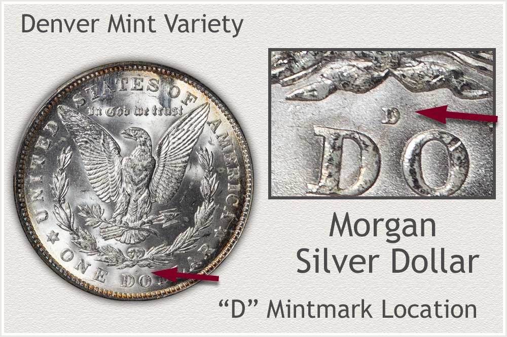 Morgan Silver Dollar Values | Discover Their Worth